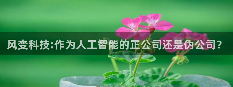 风变科技:作为人工智能的正公司还是伪公司？