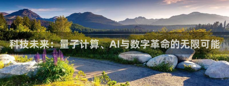 科技未来：量子计算、AI与数字革命的无限可能