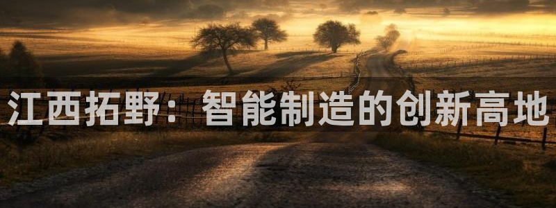 江西拓野：智能制造的创新高地