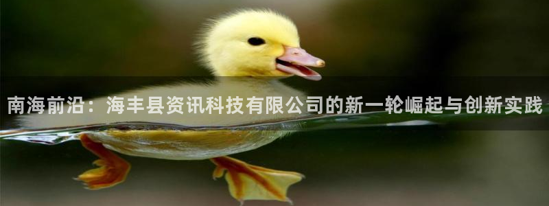 南海前沿：海丰县资讯科技有限公司的新一轮崛起与创新实践