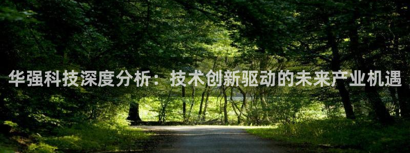 华强科技深度分析：技术创新驱动的未来产业机遇