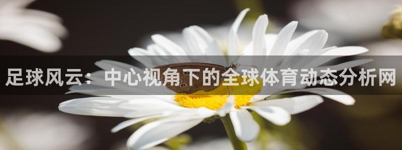 足球风云：中心视角下的全球体育动态分析网