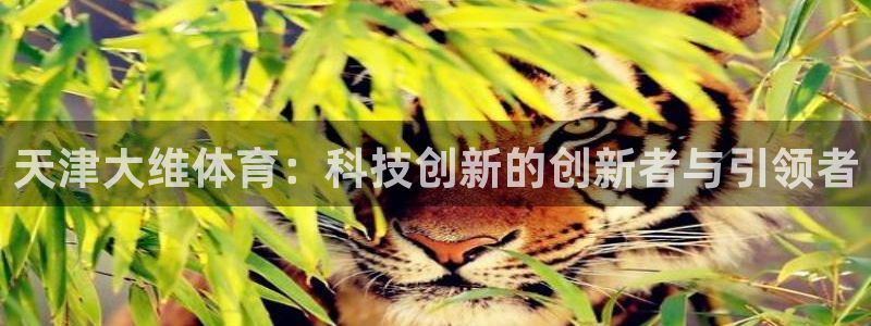 天津大维体育：科技创新的创新者与引领者