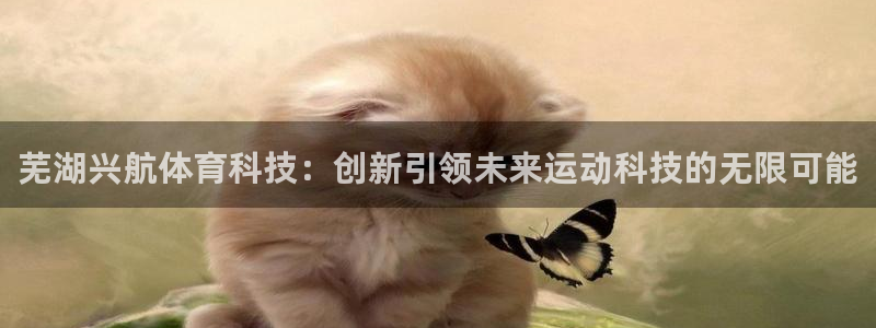 芜湖兴航体育科技：创新引领未来运动科技的无限可能