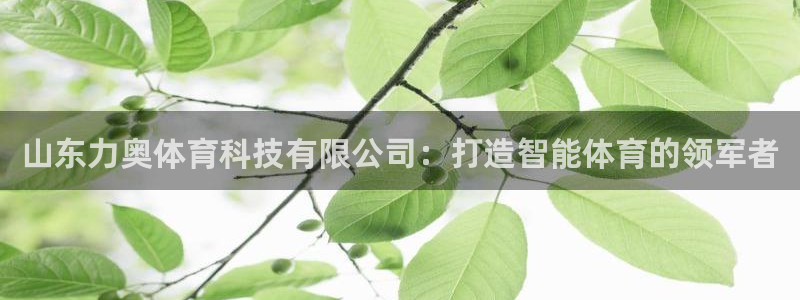 山东力奥体育科技有限公司：打造智能体育的领军者