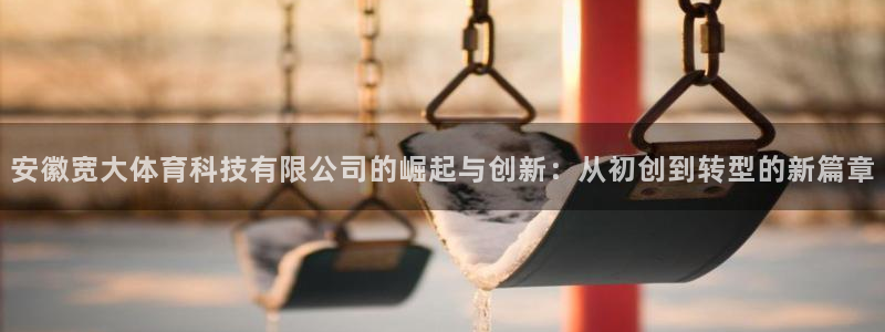 安徽宽大体育科技有限公司的崛起与创新：从初创到转型的新篇章