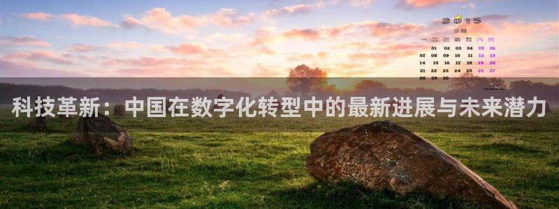 科技革新：中国在数字化转型中的最新进展与未来潜力