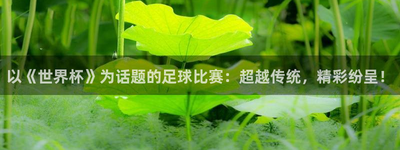 以《世界杯》为话题的足球比赛：超越传统，精彩纷呈！