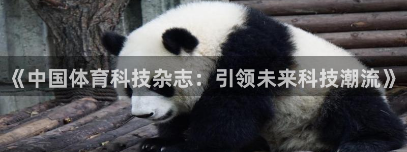 《中国体育科技杂志：引领未来科技潮流》