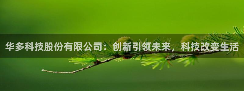 华多科技股份有限公司：创新引领未来，科技改变生活