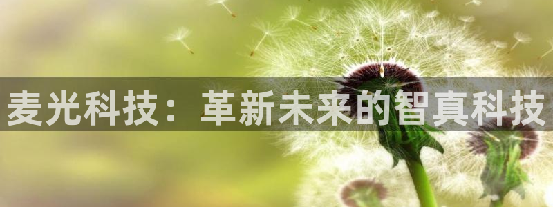 麦光科技：革新未来的智真科技