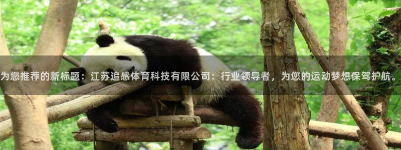 为您推荐的新标题：江苏追感体育科技有限公司：行业领导者，为您的运动梦想保驾护航。
