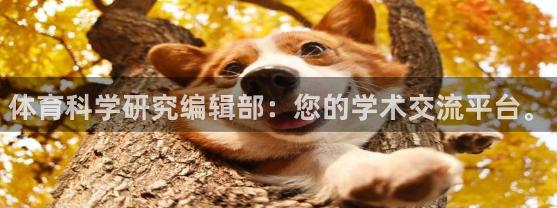 体育科学研究编辑部：您的学术交流平台。