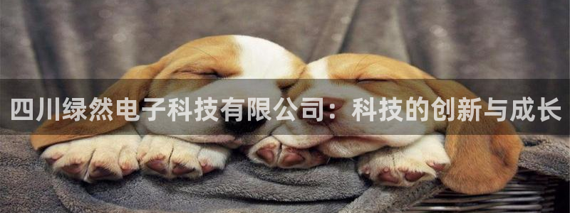 四川绿然电子科技有限公司：科技的创新与成长