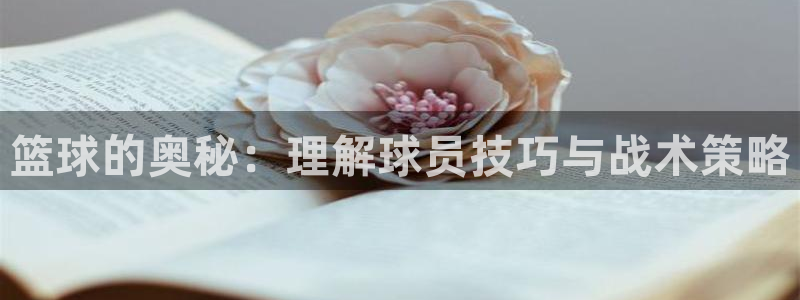 篮球的奥秘：理解球员技巧与战术策略
