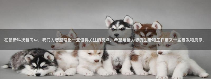 在最新科技新闻中，我们为您整理出一些值得关注的亮点。希望这能为您的生活和工作带来