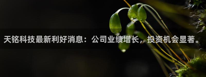 天铭科技最新利好消息：公司业绩增长，投资机会显著。