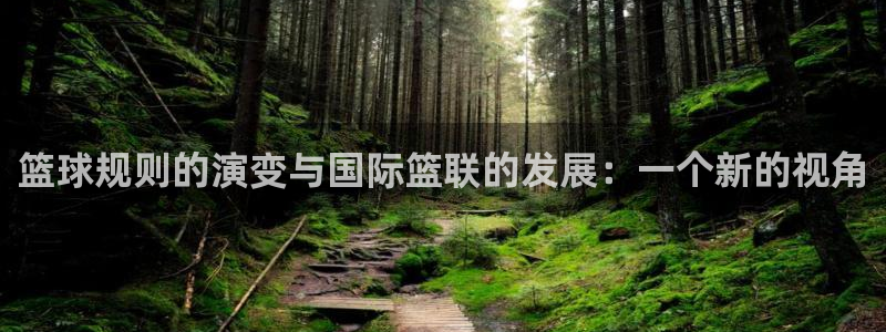 篮球规则的演变与国际篮联的发展：一个新的视角