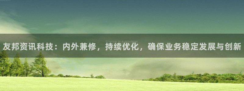友邦资讯科技：内外兼修，持续优化，确保业务稳定发展与创新