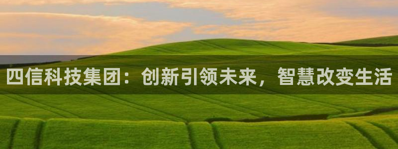 四信科技集团：创新引领未来，智慧改变生活