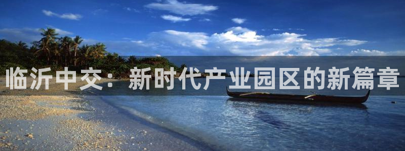 临沂中交：新时代产业园区的新篇章