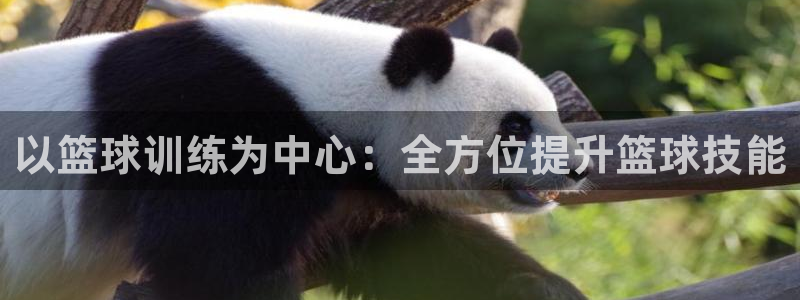 以篮球训练为中心：全方位提升篮球技能