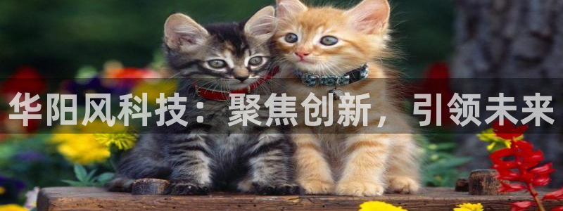 华阳风科技：聚焦创新，引领未来