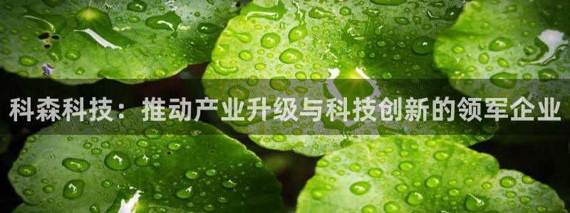 科森科技：推动产业升级与科技创新的领军企业