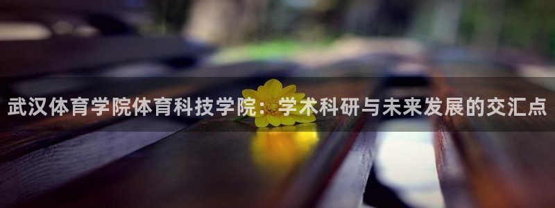 武汉体育学院体育科技学院：学术科研与未来发展的交汇点