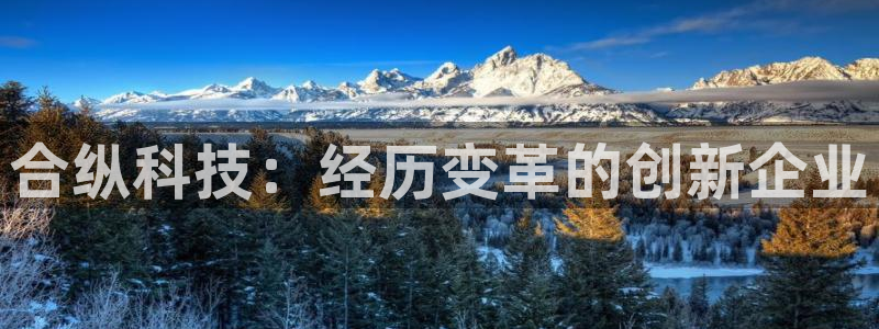 合纵科技：经历变革的创新企业