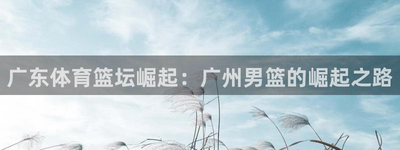 广东体育篮坛崛起：广州男篮的崛起之路