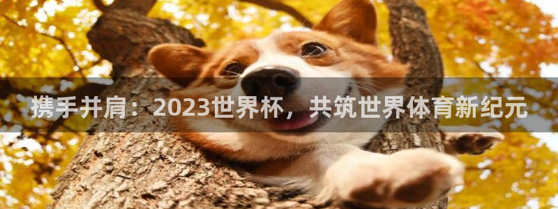 携手并肩：2023世界杯，共筑世界体育新纪元