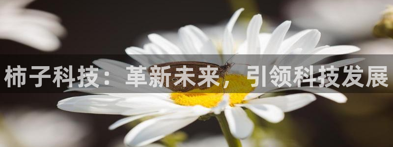 柿子科技：革新未来，引领科技发展