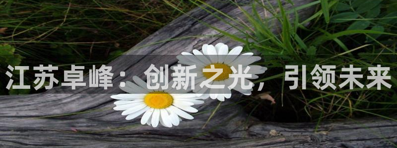 江苏卓峰：创新之光，引领未来