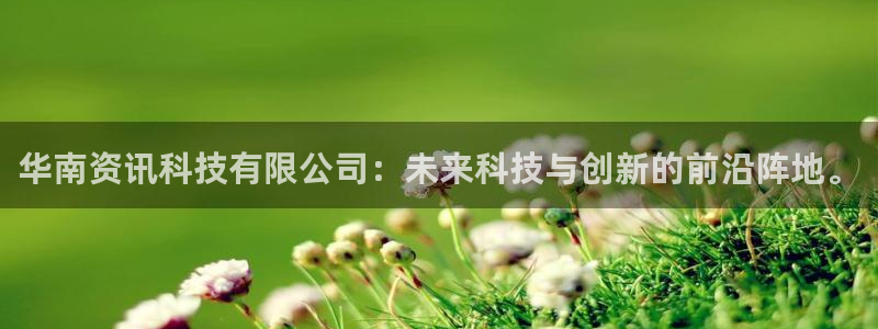 华南资讯科技有限公司：未来科技与创新的前沿阵地。