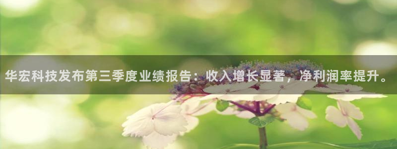 华宏科技发布第三季度业绩报告：收入增长显著，净利润率提升。