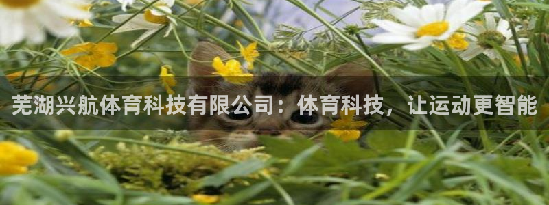 芜湖兴航体育科技有限公司：体育科技，让运动更智能