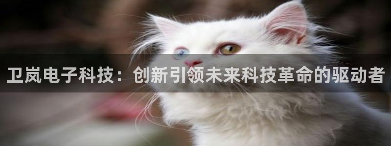 卫岚电子科技：创新引领未来科技革命的驱动者